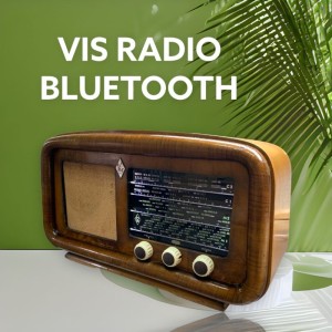 Radio Vintage - Bluetooth
